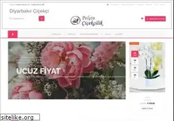 Sites similar to pelsincicekcilik.com