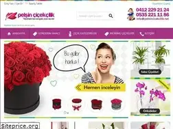 Sites similar to pelsincicekcilik.net