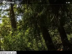 Sites similar to pencilshutter.com