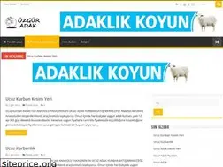 Sites similar to pendikadak.com