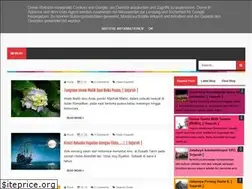 Sites similar to pengamatsejarah.blogspot.com