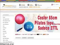 Sites similar to penguenspor.com