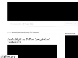 Sites similar to penisbuyutmeyollari.com