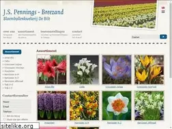 Sites similar to pennings-de-bilt.nl