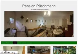 Sites similar to pension-pueschmann.de