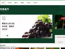 Sites similar to penzai.com