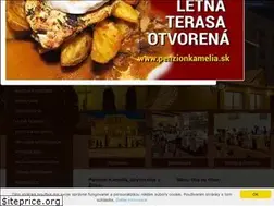 Sites similar to penzionkamelia.sk