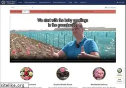 Sites similar to peonyshop.com