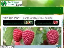 Sites similar to pepinierabanat.ro