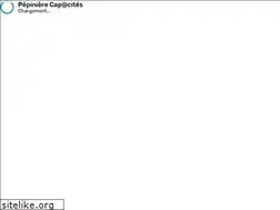 Sites similar to pepinierecapacites.com