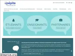 Sites similar to pepite-centre.fr
