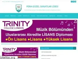 Sites similar to peraguzelsanatlar.com.tr