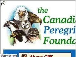 Sites similar to peregrine-foundation.ca