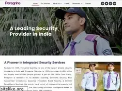 Sites similar to peregrine-security.com