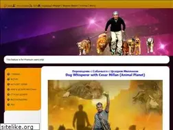 Sites similar to perevodchik-s-s.do.am
