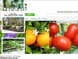 Sites similar to pereznursery.com