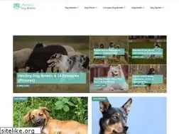 Sites similar to perfectdogbreeds.com