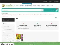 Sites similar to perfectplants.co.uk