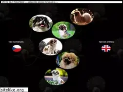 Sites similar to perlamahagon.com
