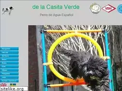 Sites similar to perro-de-agua-espanol.eu