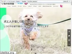 Sites similar to perro.jp