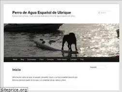 Sites similar to perroaguaubrique.com
