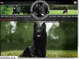 Sites similar to perrodelacasanegra.nl
