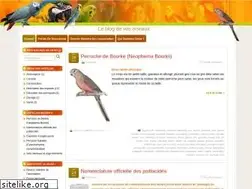 Sites similar to perroquet.biz
