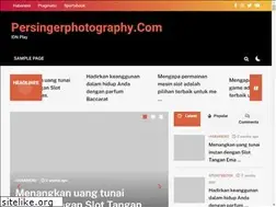 Sites similar to persingerphotography.com