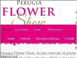 Sites similar to perugiaflowershow.com