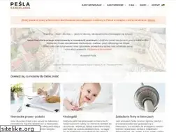 Sites similar to pesla.pl