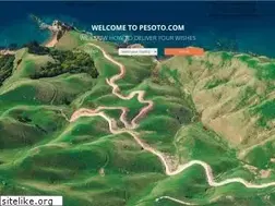 Sites similar to pesoto.com