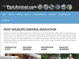Sites similar to pestanimal.com