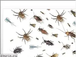 Sites similar to pestcontrol.com