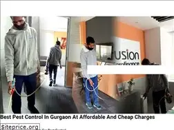 Sites similar to pestcontrolingurgaon.co.in