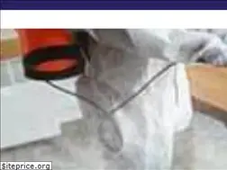Sites similar to pestisect.ca