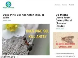 Sites similar to pestpirates.com