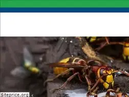 Sites similar to pestuk.com