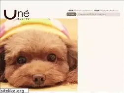 Sites similar to pet-onlyone.com