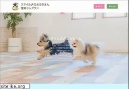 Sites similar to pet-smile.com