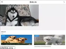 Sites similar to pet250.com