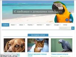 Sites similar to pet7.ru