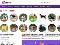 Sites similar to pet82.com