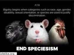 Sites similar to peta.com