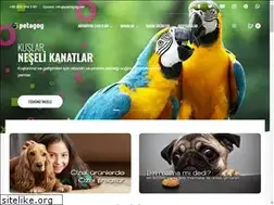 Sites similar to petagog.net