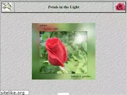 Sites similar to petalsinthelight.com