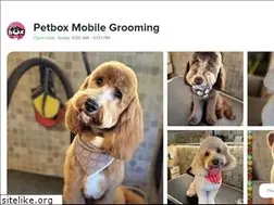Sites similar to petboxservices.com