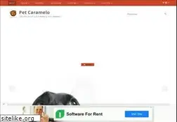 Sites similar to petcaramelo.com