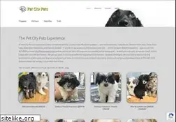 Sites similar to petcitypets.com