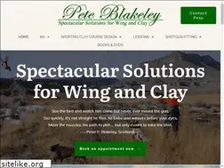 Sites similar to peteblakeley.com